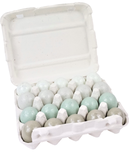 EIERDISPLAY MINT  S/20