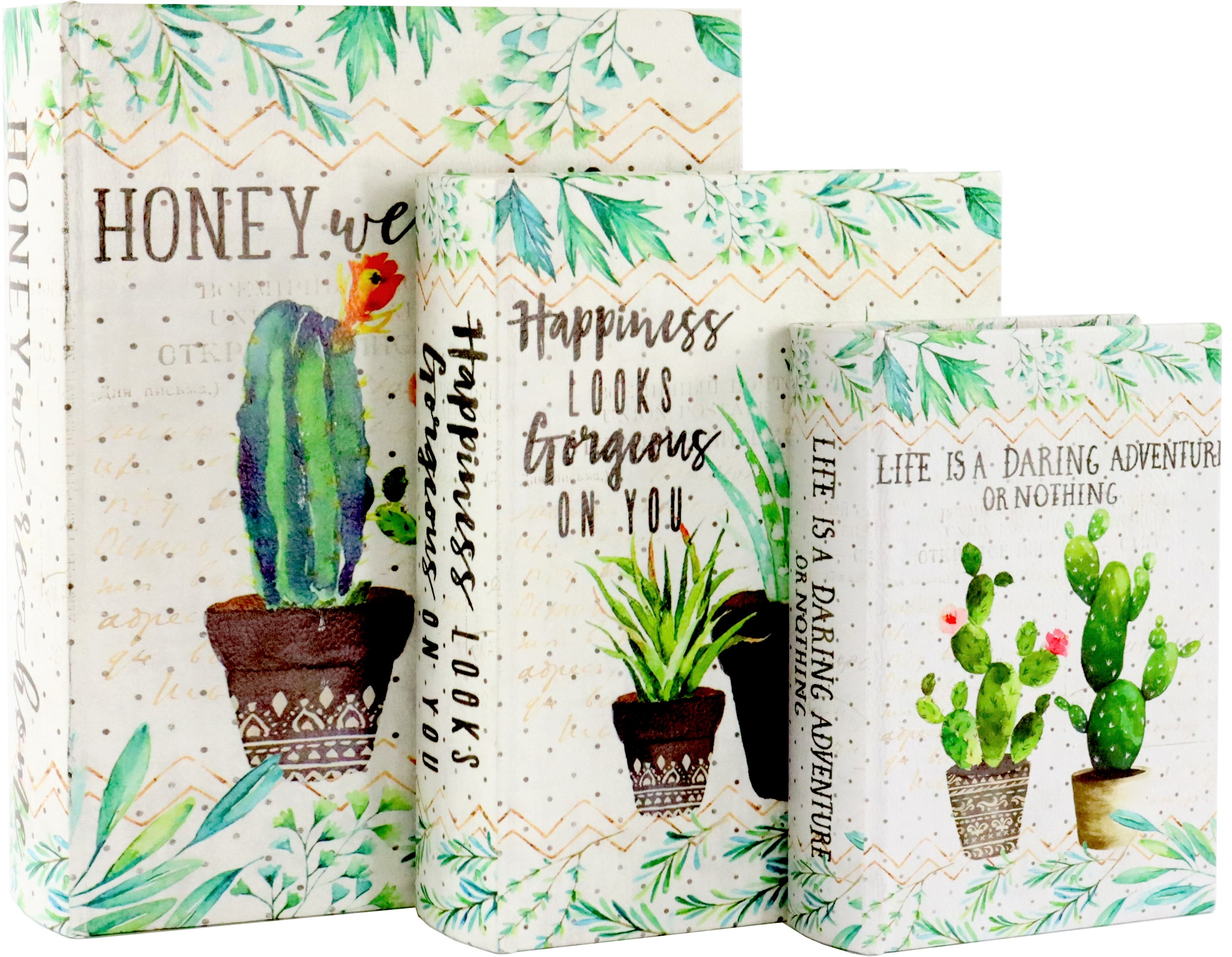 FOLIANTEN CACTUS  S/3