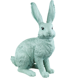 HASE LUCKY