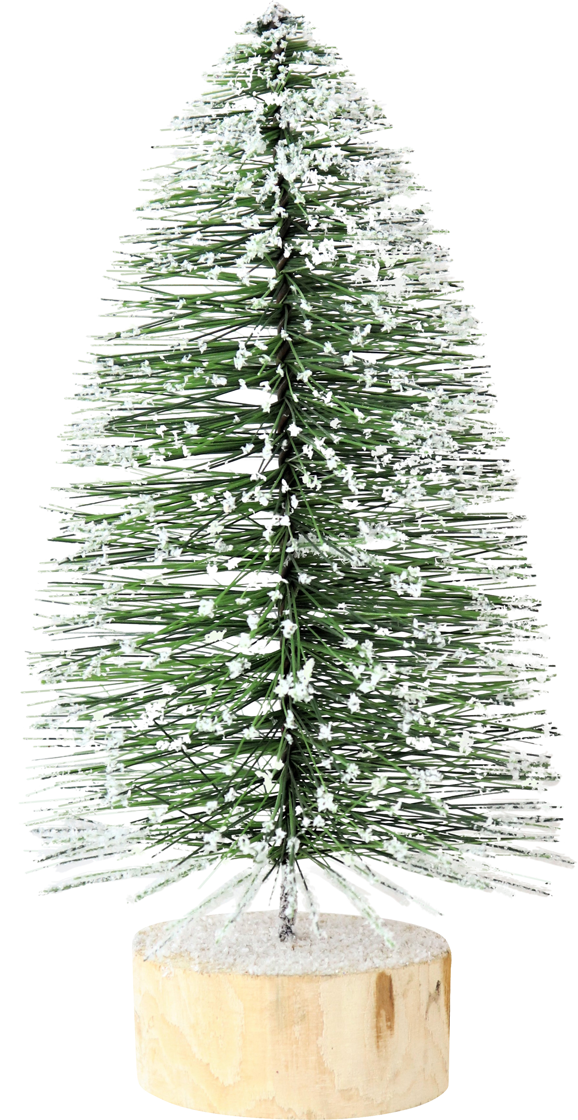 TANNENBAUM GREENWOOD