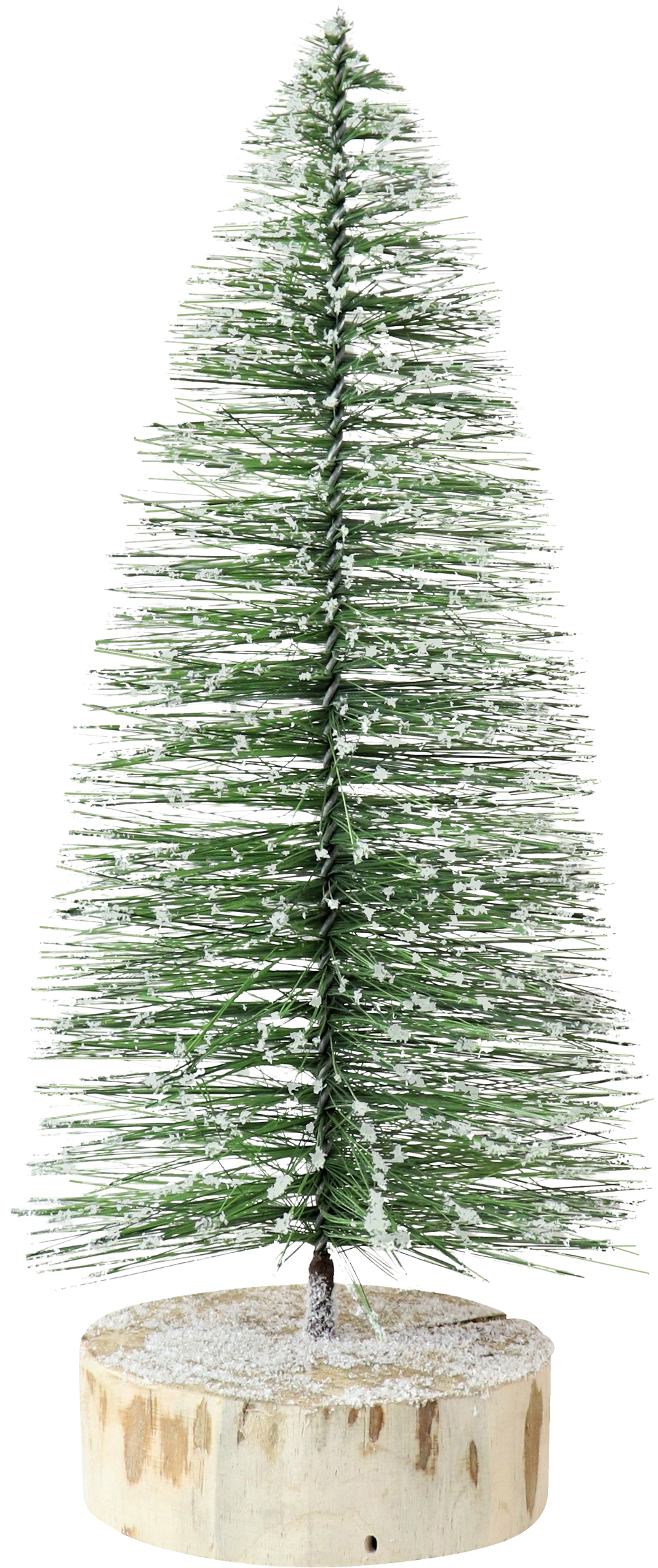 TANNENBAUM GREENWOOD