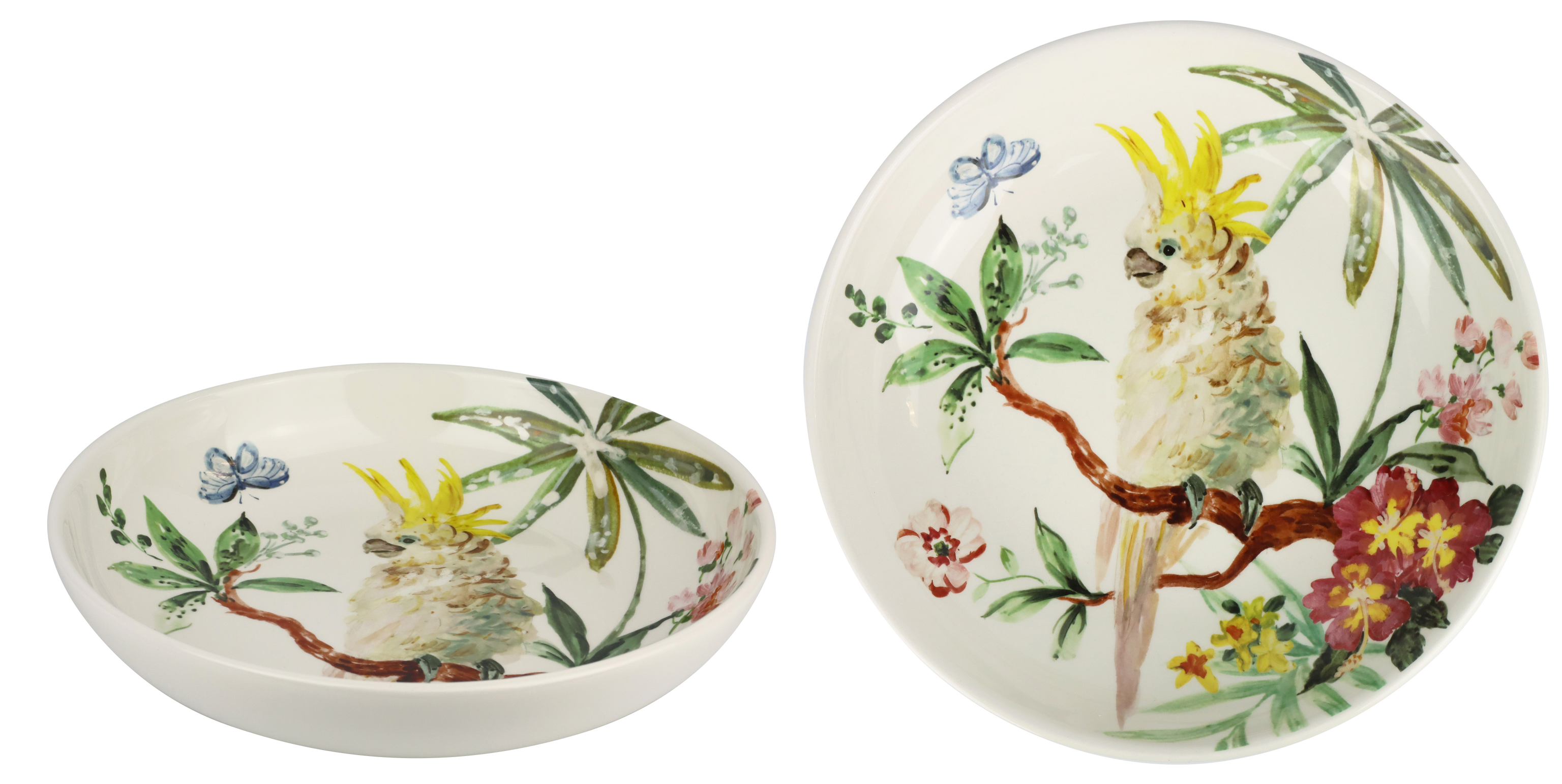 SCHALE PARADISE BIRD