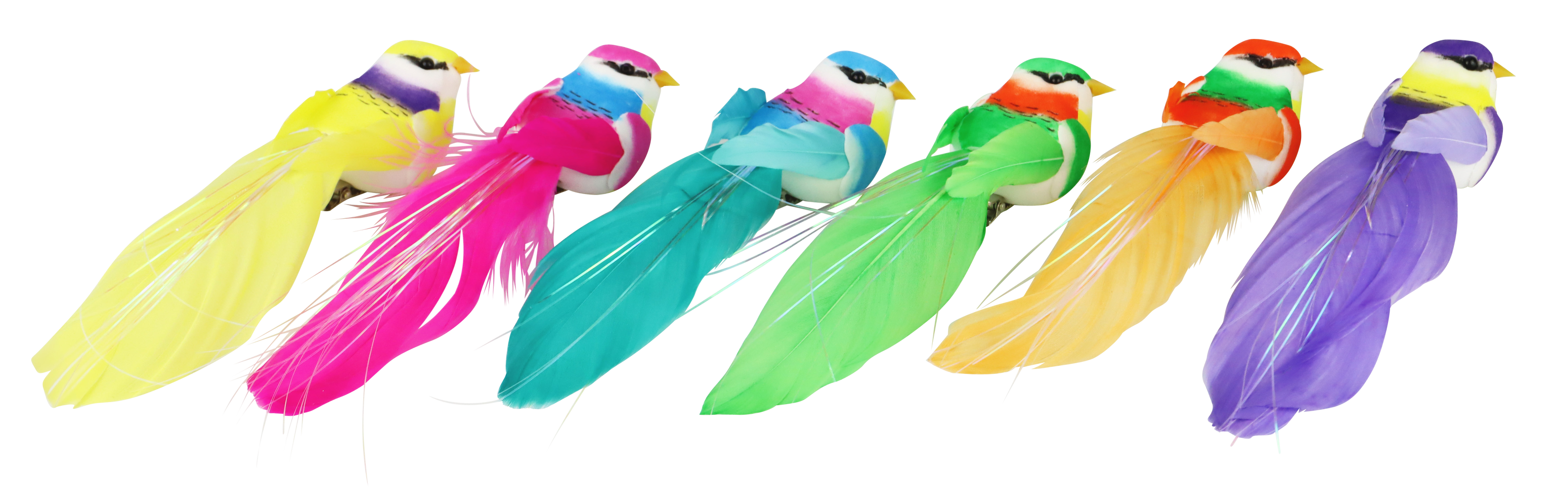 KLAMMERN BEAUTIFUL BIRDS  S/6