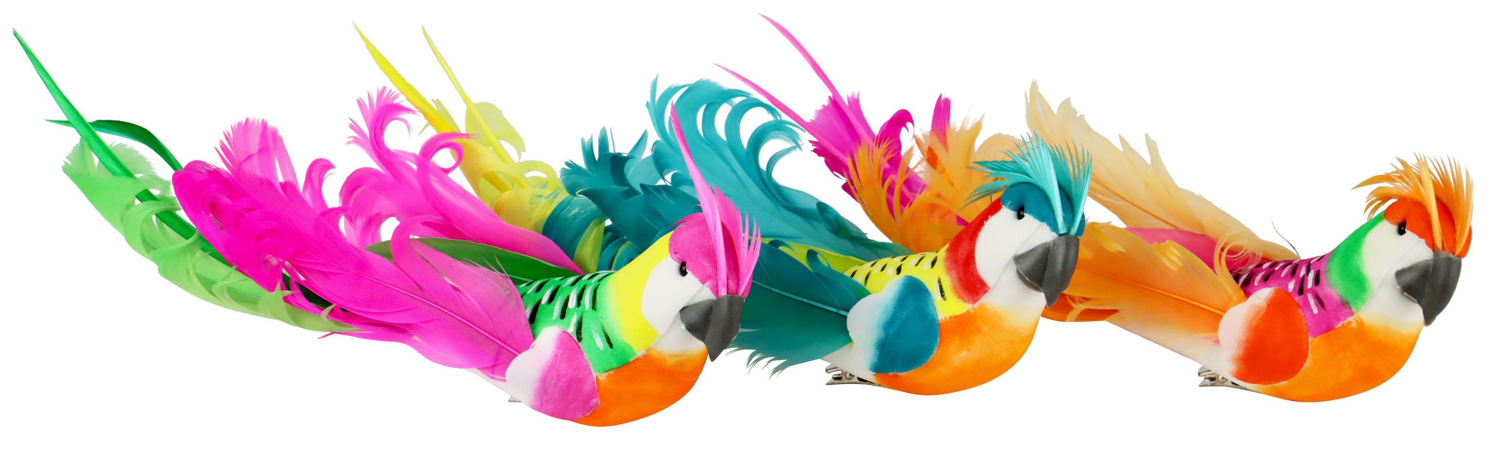 KLAMMERN BEAUTIFUL PARROTS  S/3