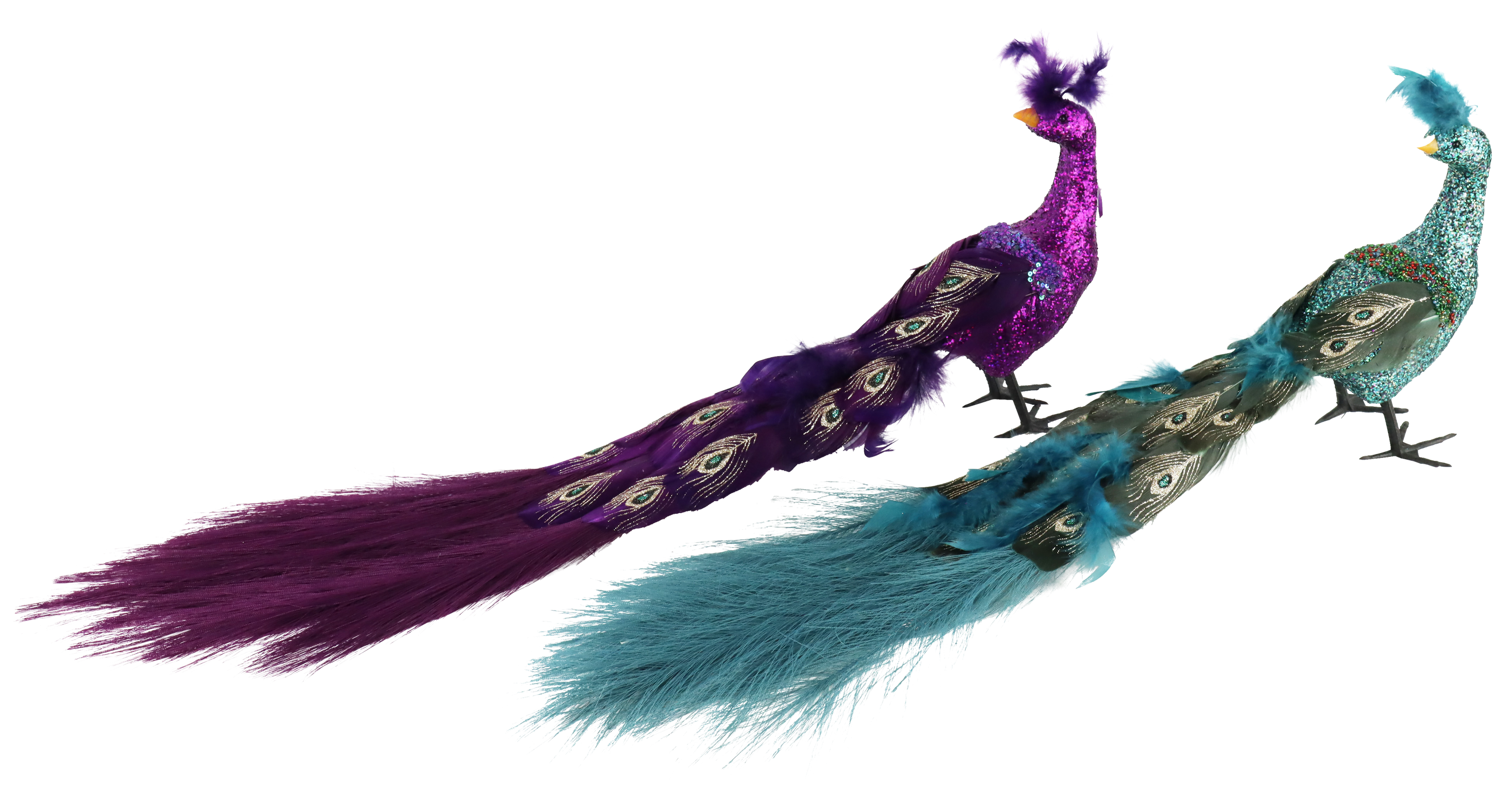 ZIERVÖGEL PEACOCK  S/2