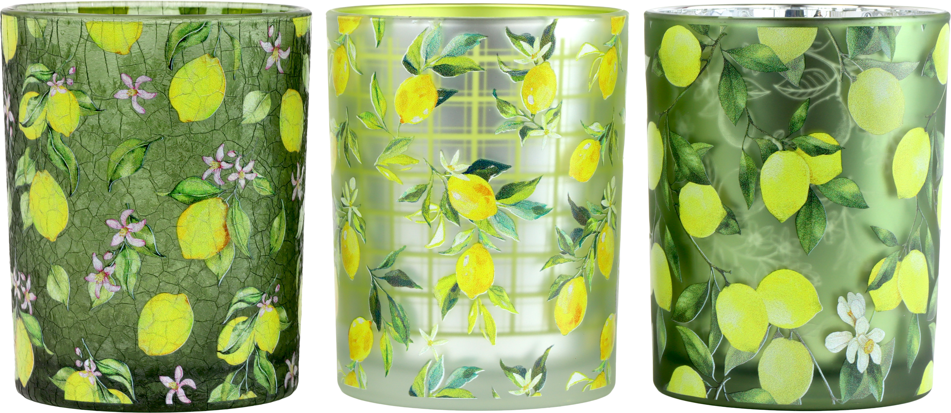 WINDLICHTER LEMON PARTY  S/3