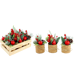 BOUQUETS IN KISTE CHRISTMAS  S/6