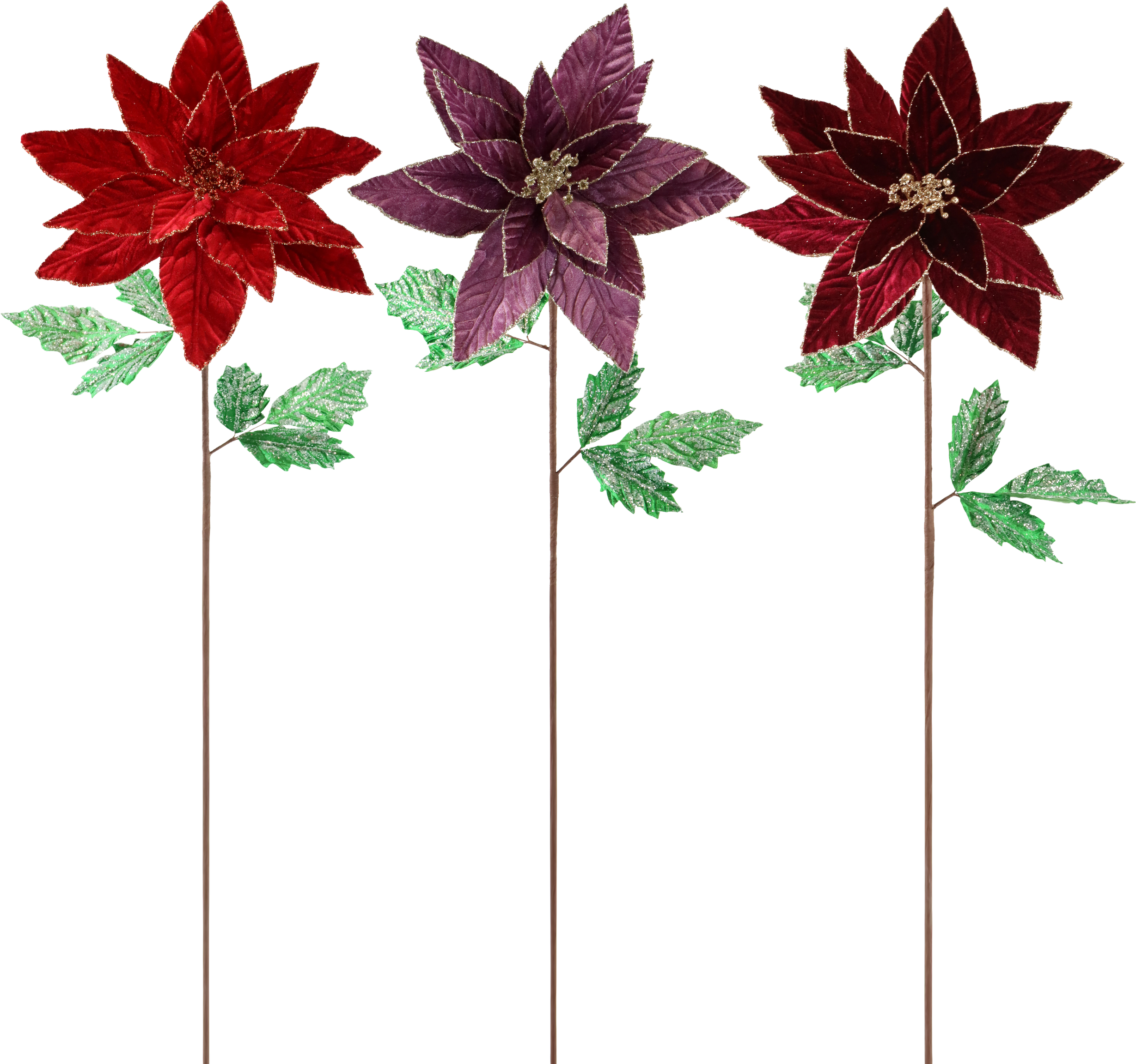 BLUMENTRIO STELLA DI NATALE  S/3