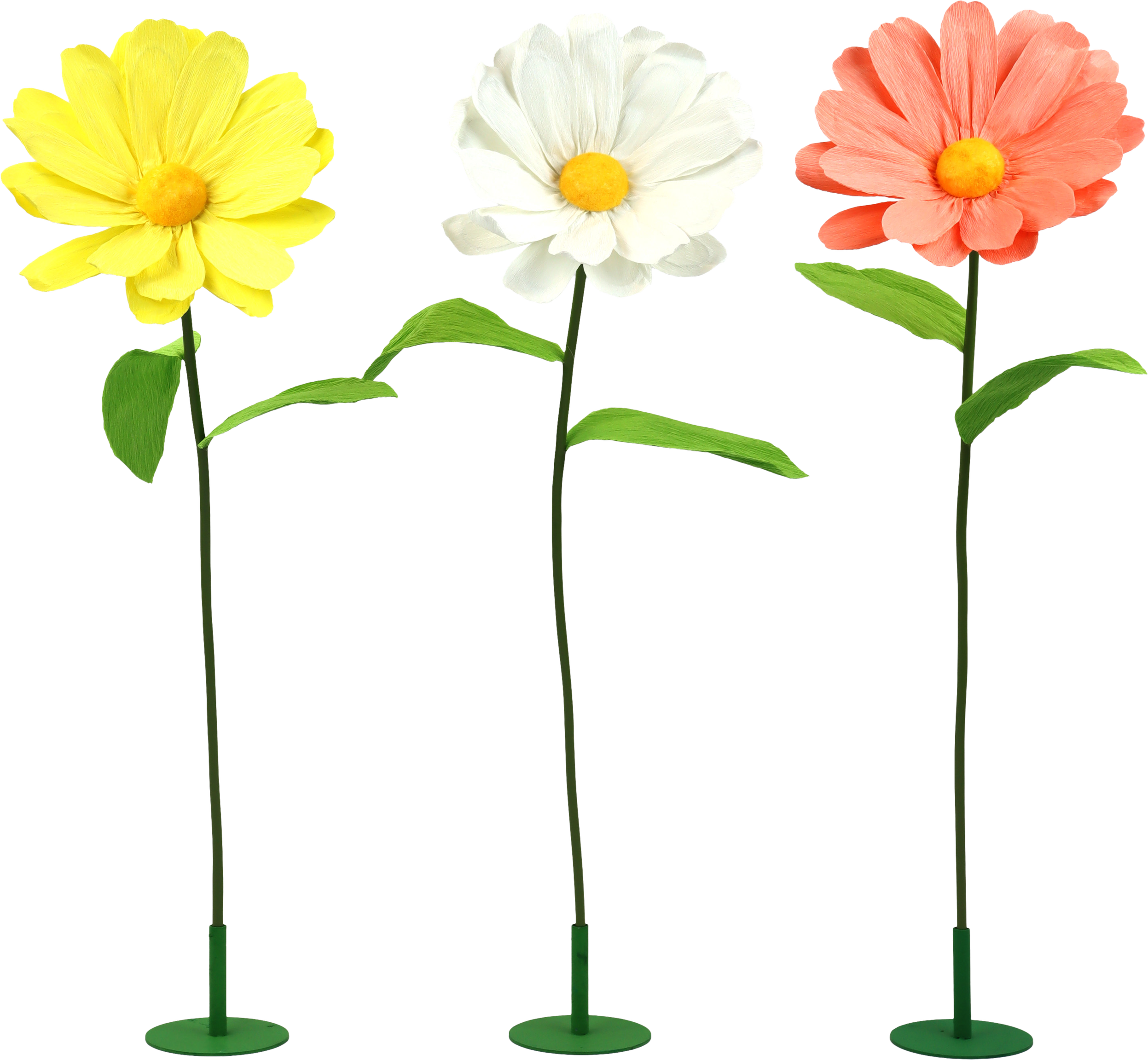 BLUMENTRIO DAISY  S/3