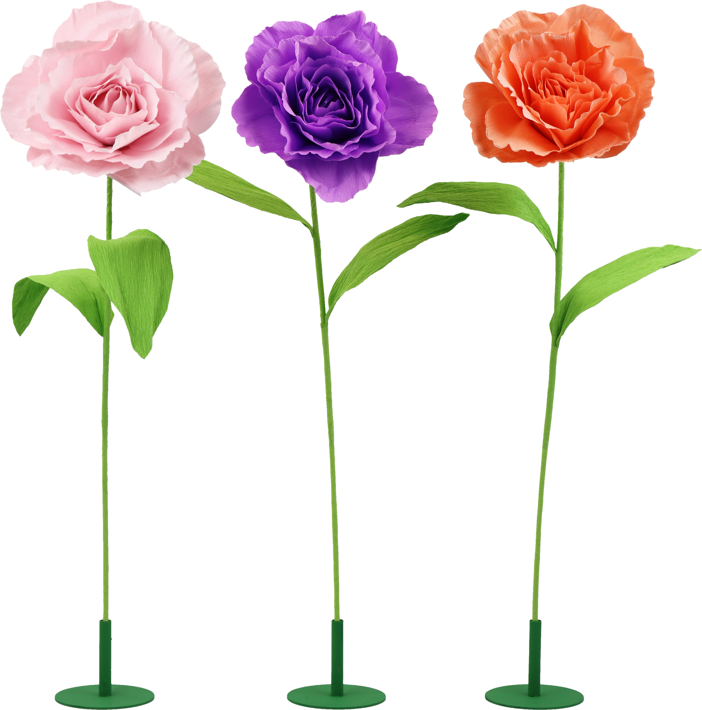 BLUMENTRIO ROSY  S/3