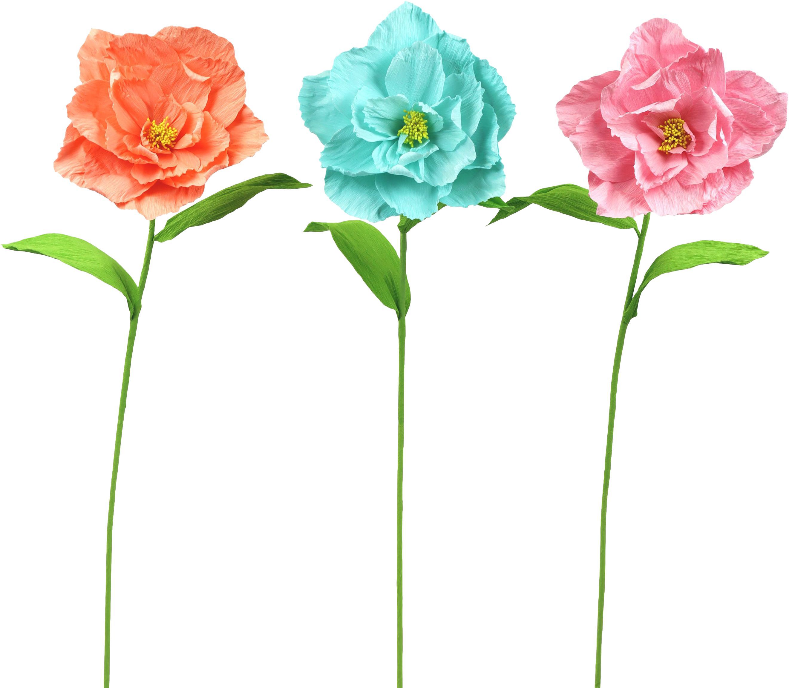 BLUMENTRIO  POPPY  S/3