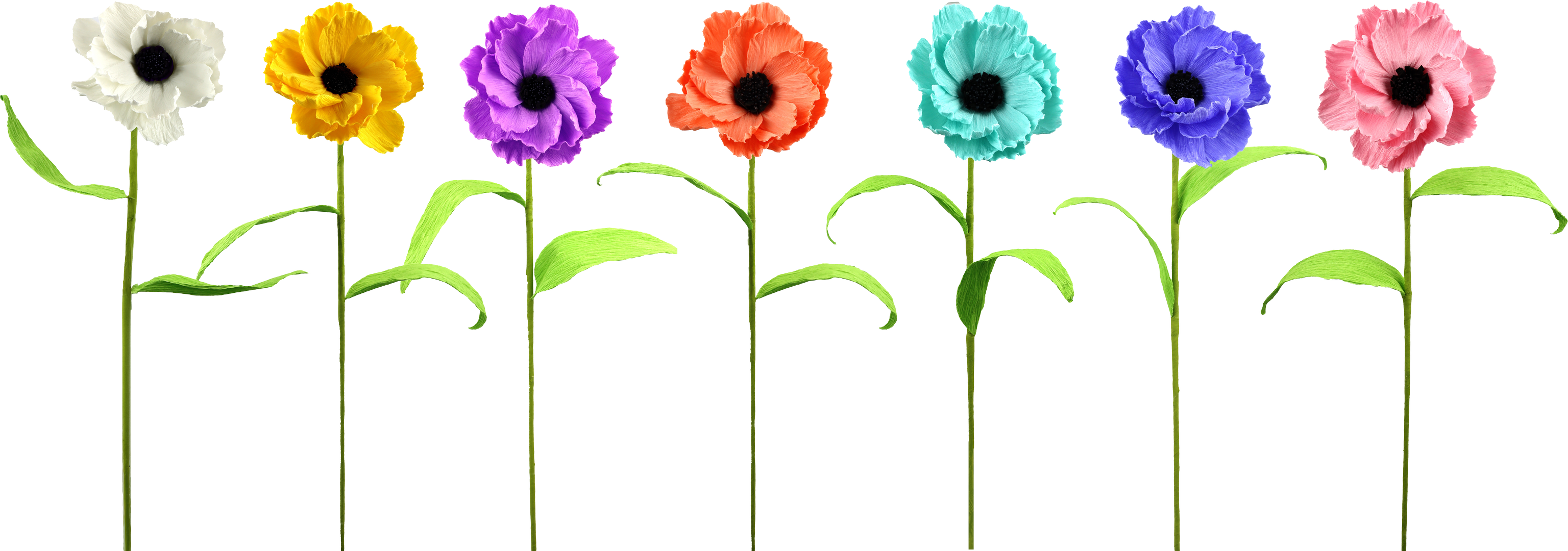 BLUMENBOUQUET ANEMONE  S/7