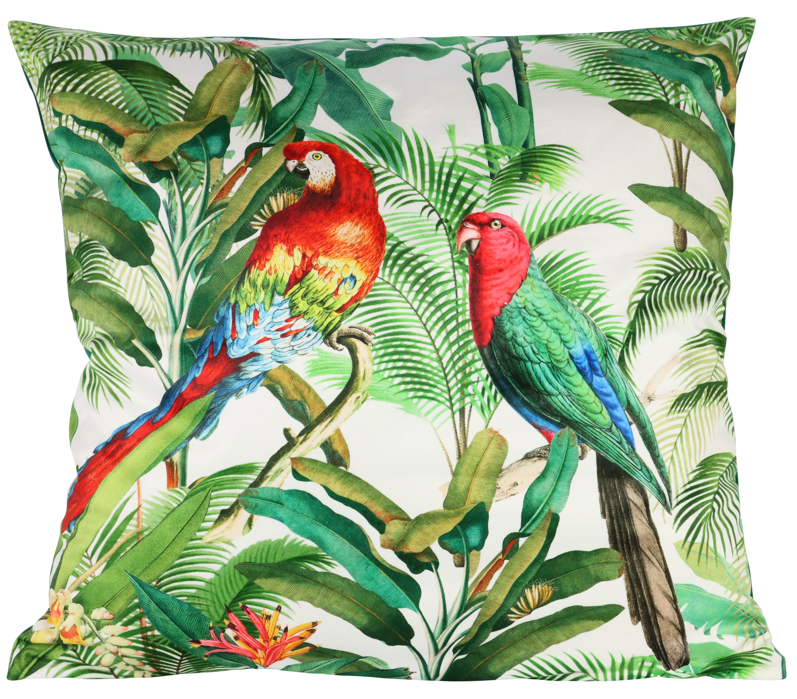 KISSENHÜLLE PARROTS  60X60