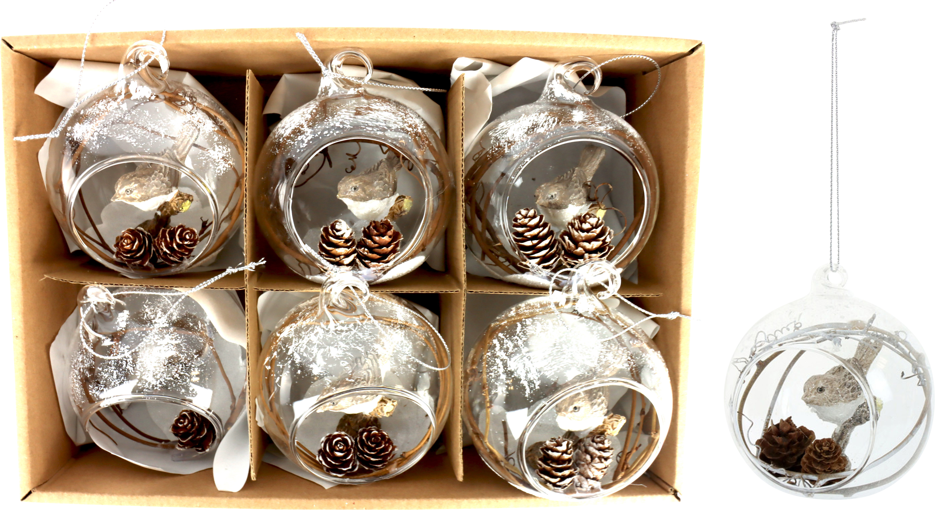 GLASKUGELN ZAUNKÖNIG  S/6