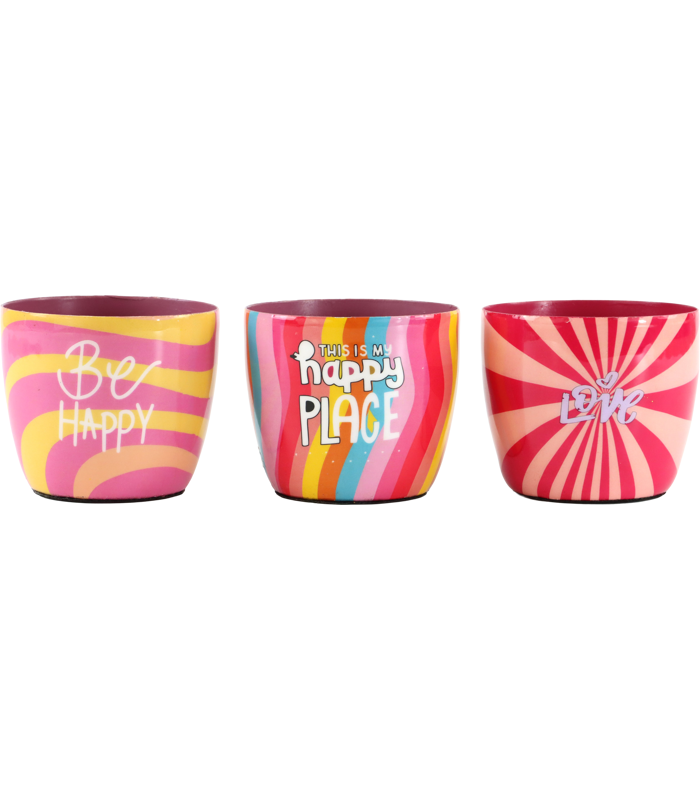 23191.png