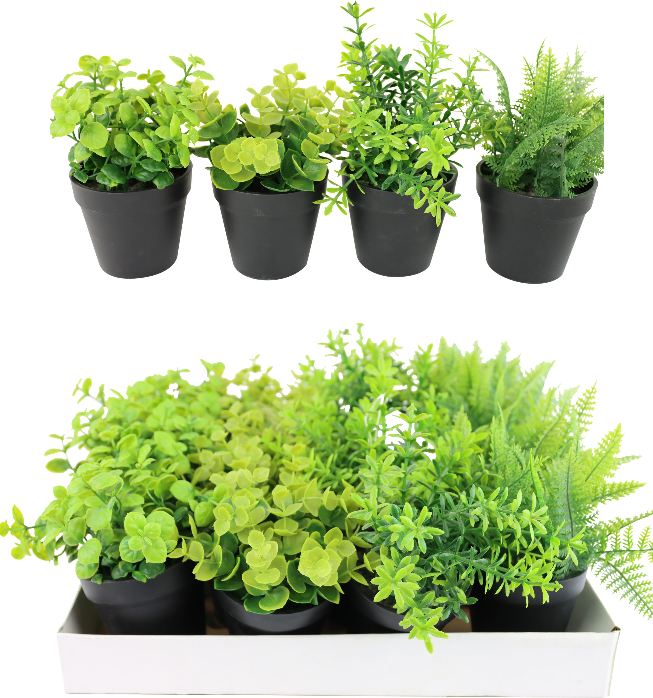 DISPLAYBOX KÄUTERTÖPFE  S/16