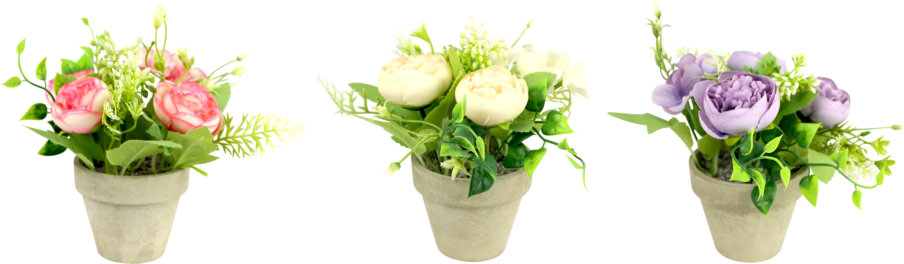 BLUMENTÖPFE RANUNKELN  S/3