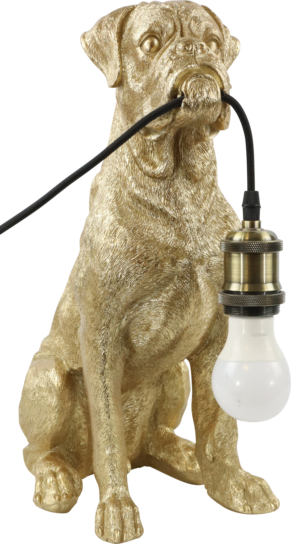 LAMPE DOGGY