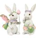 HASEN BLUMENMEER  S/2