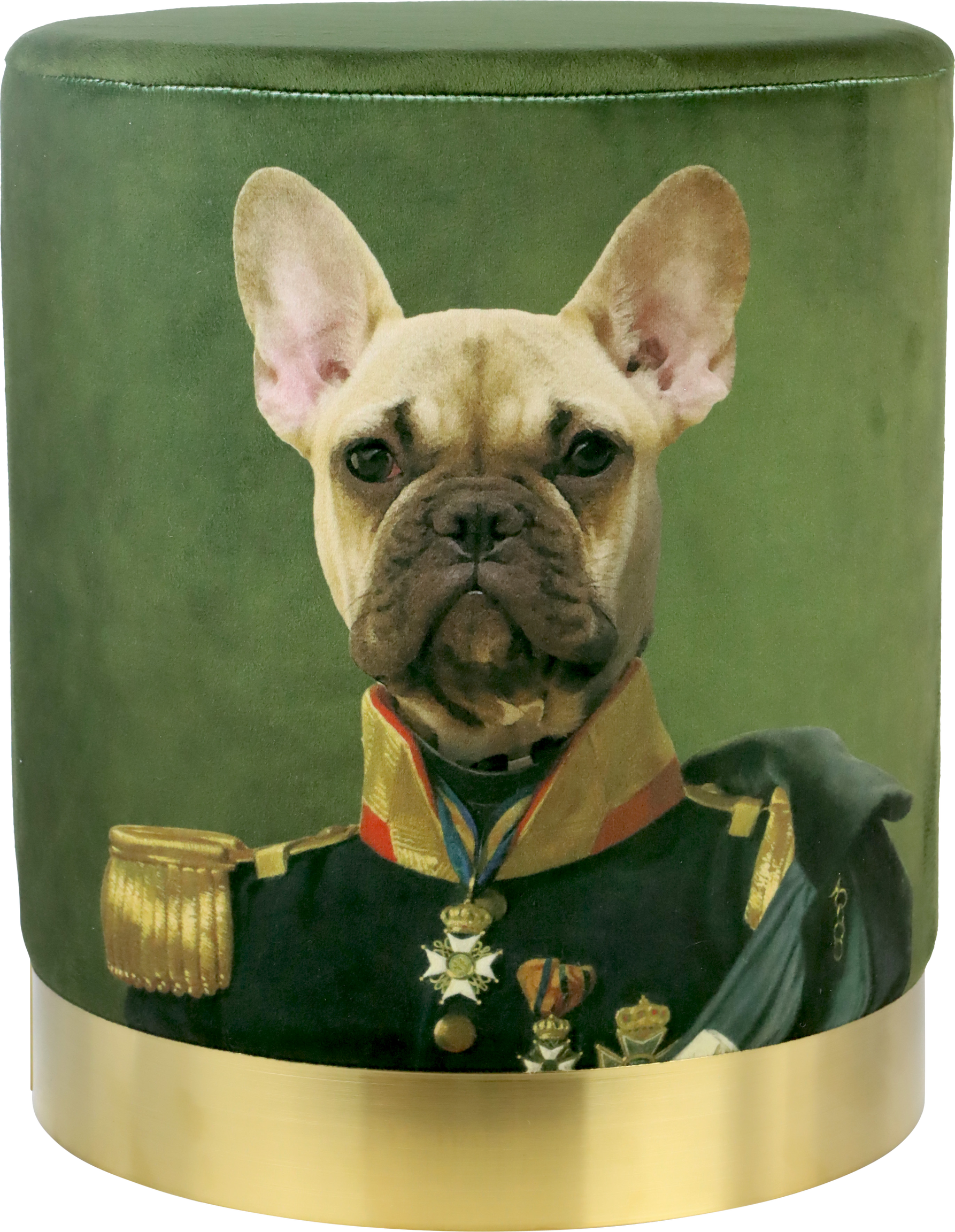 SITZPOUF KING OF DOGS