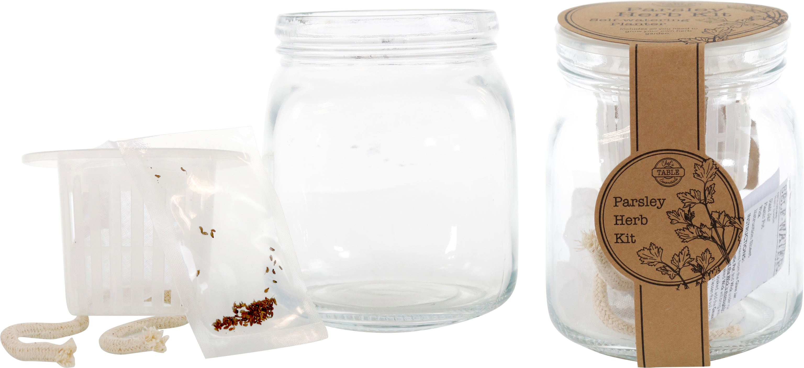 PFLANZSET M. SAMEN PETERSILIE