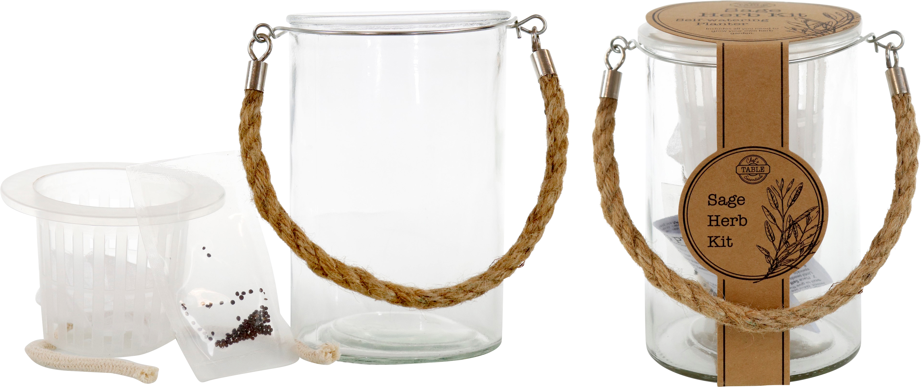 PFLANZSET M. SAMEN SALBEI