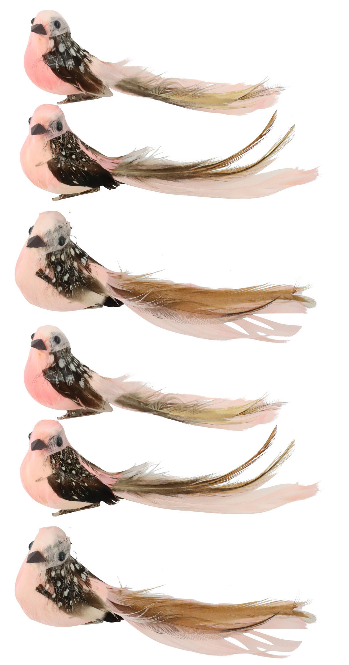 VOGELKLAMMERN BIRDY  S/6