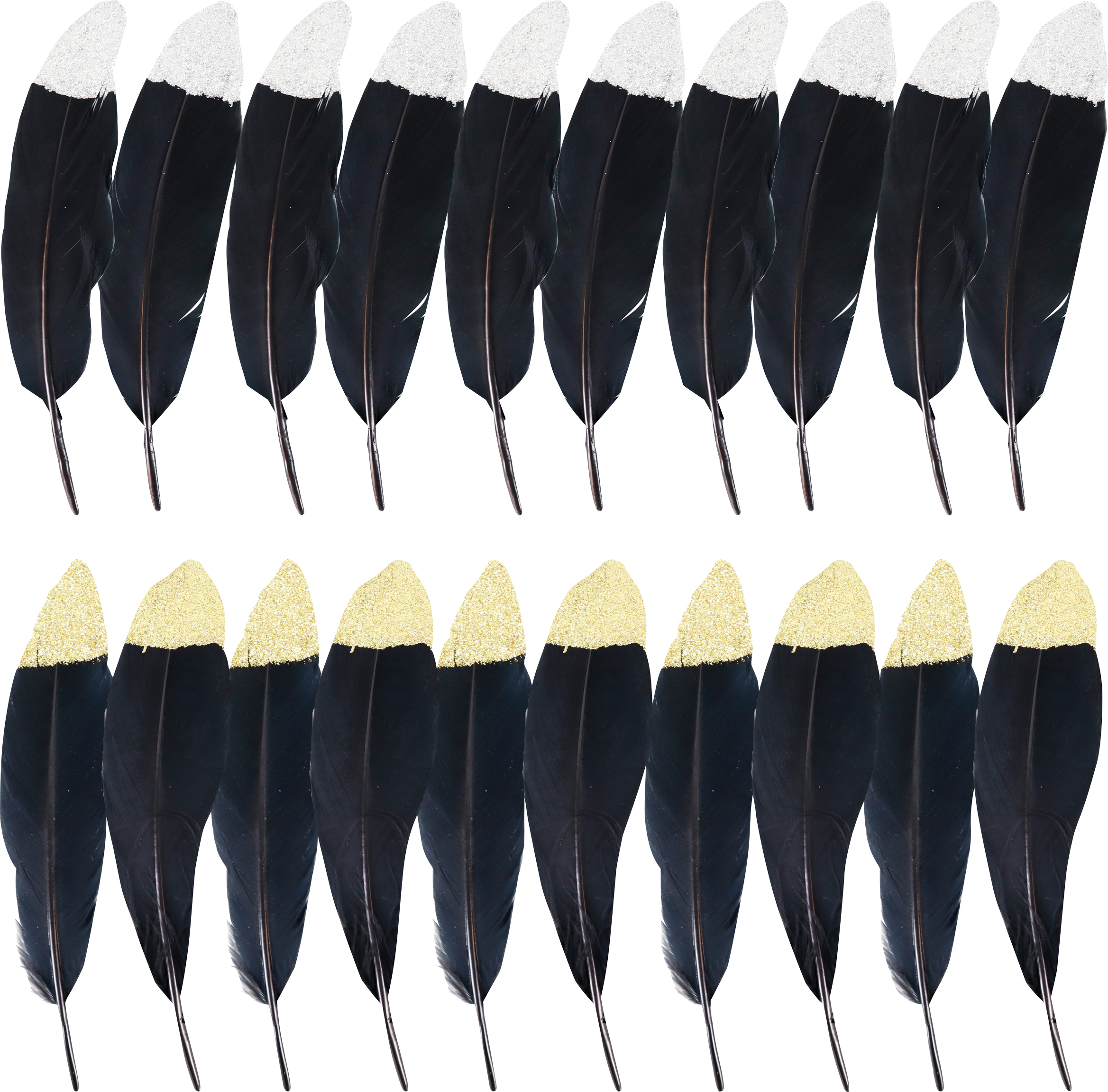 ZIERFEDERN NOIR  S/20