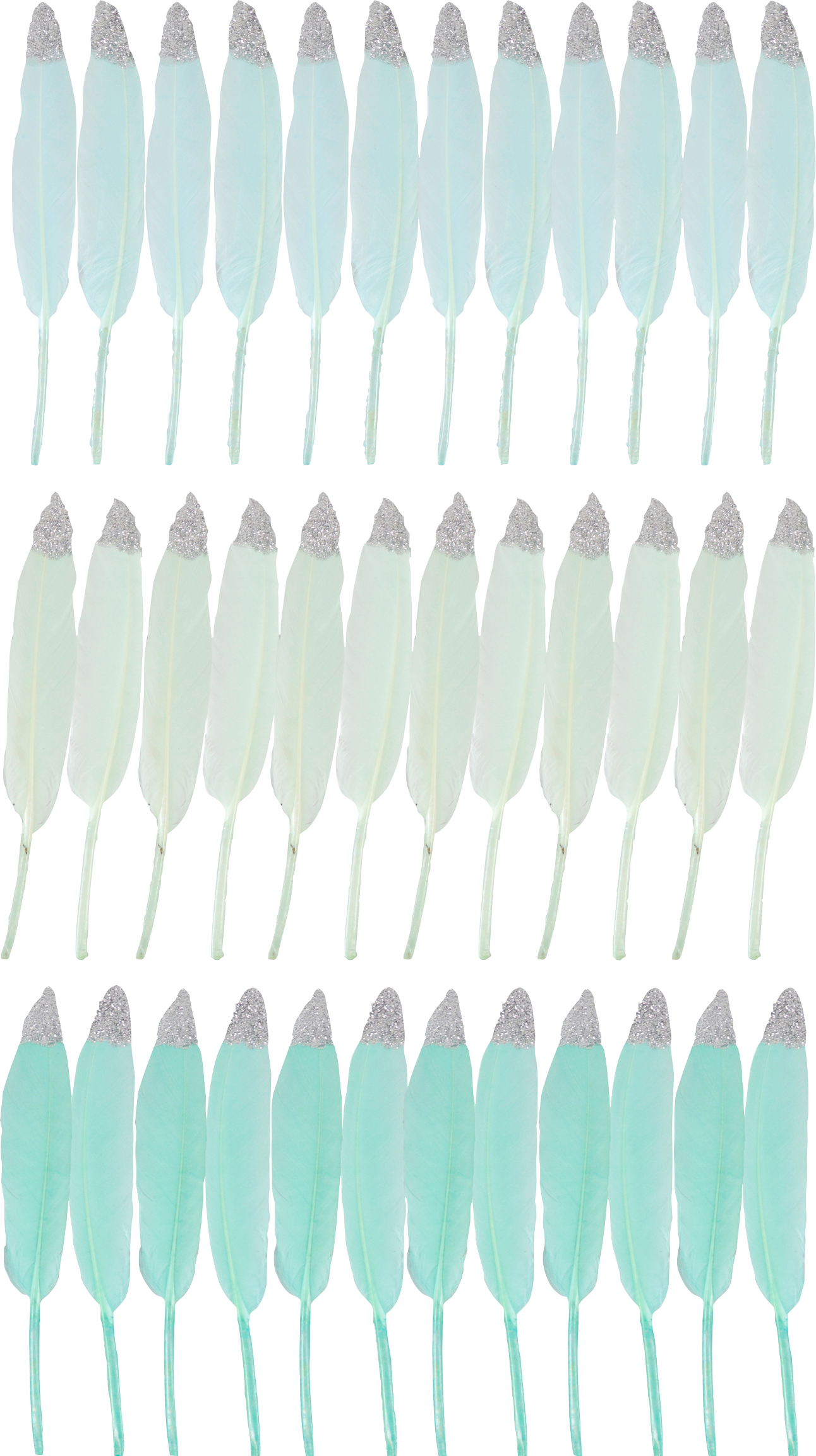 ZIERFEDERN MINT  S/36