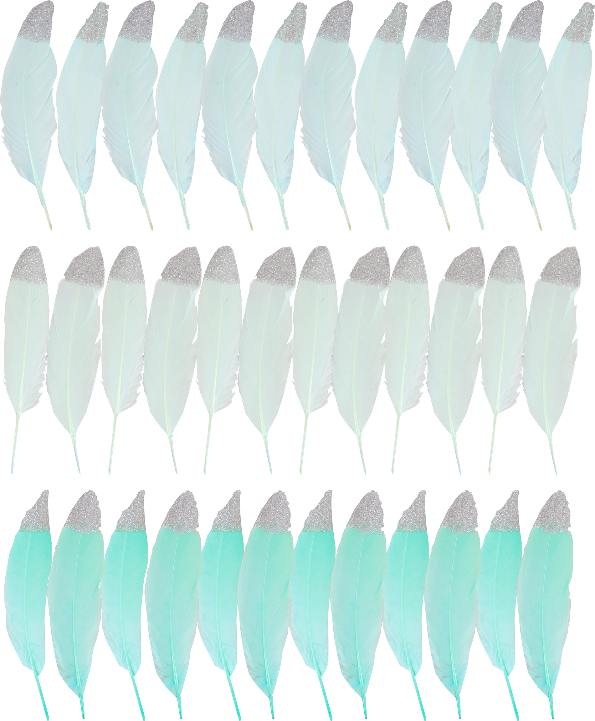 ZIERFEDERN MINT  S/36