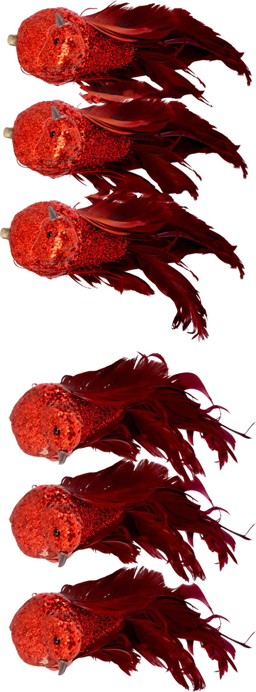 VOGELKLAMMERN FEDERSTOLZ  S/6