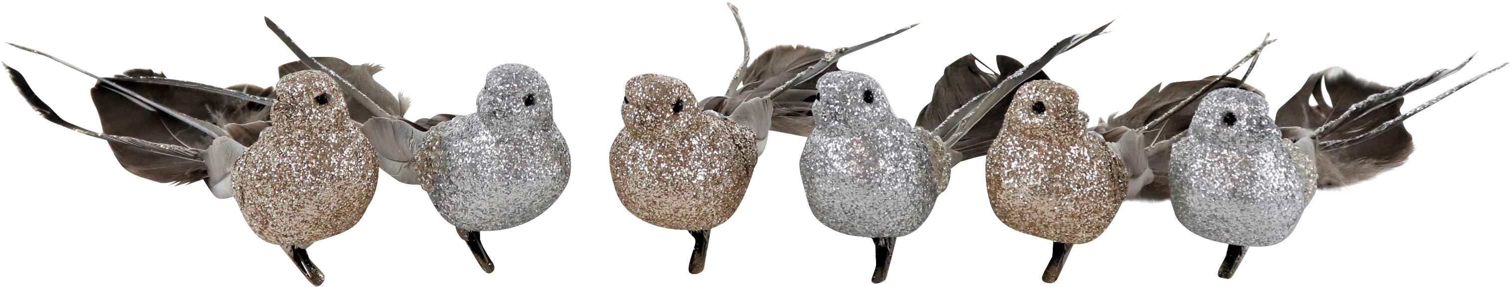 VOGELKLAMMERN FEDERSTOLZ  S/6