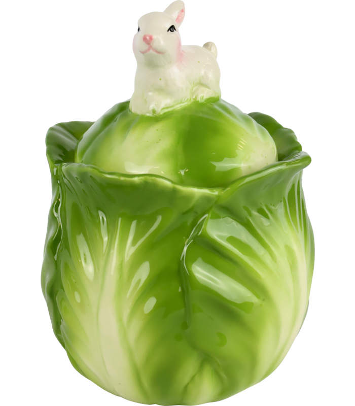 35051.png