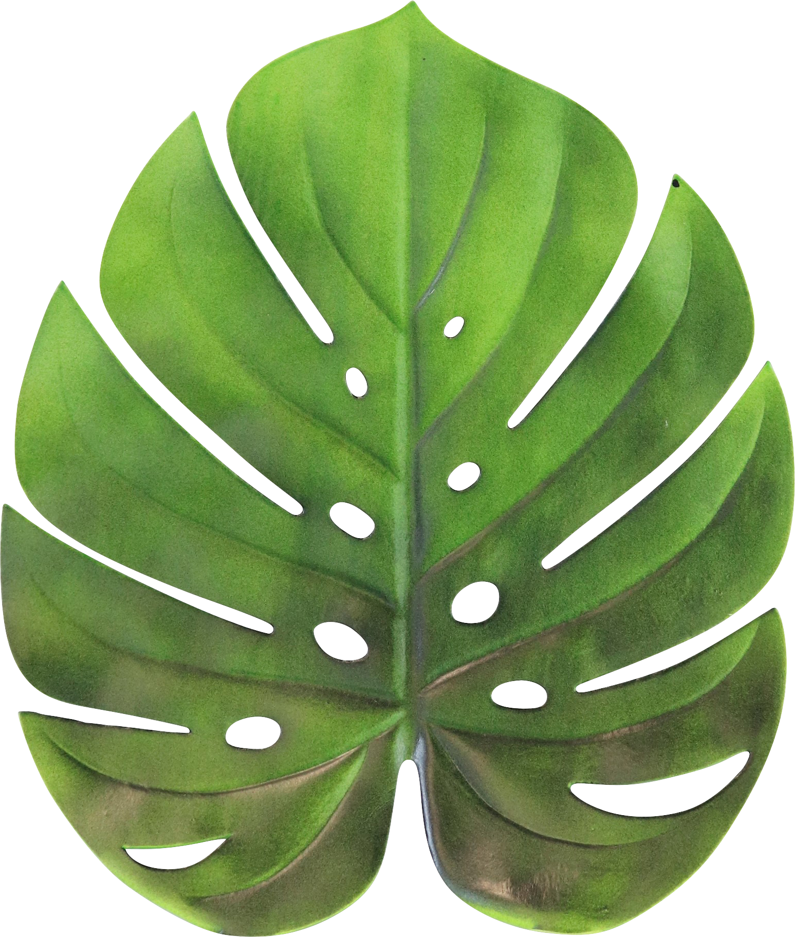 TISCHSET MONSTERA