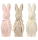 HASEN HAPPY RABBIT  S/3