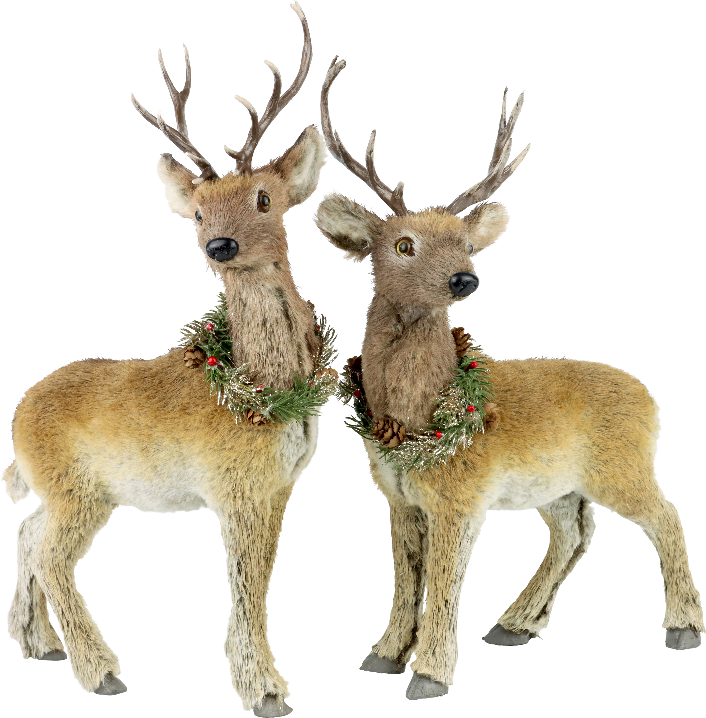 RENTIERE GREENWOOD  S/2