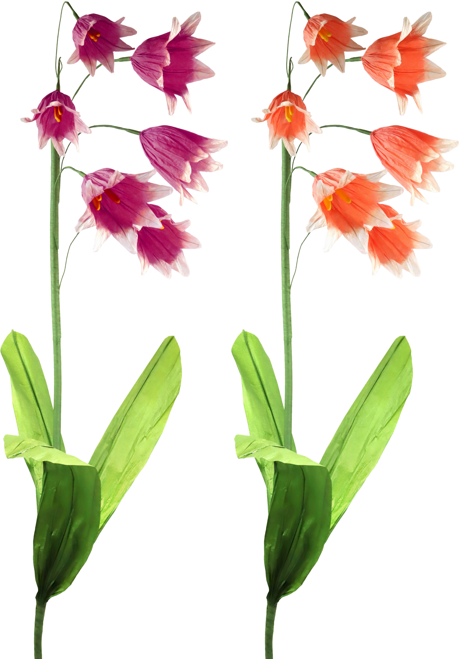 DEKOBLUMEN BELLFLOWER  S/2