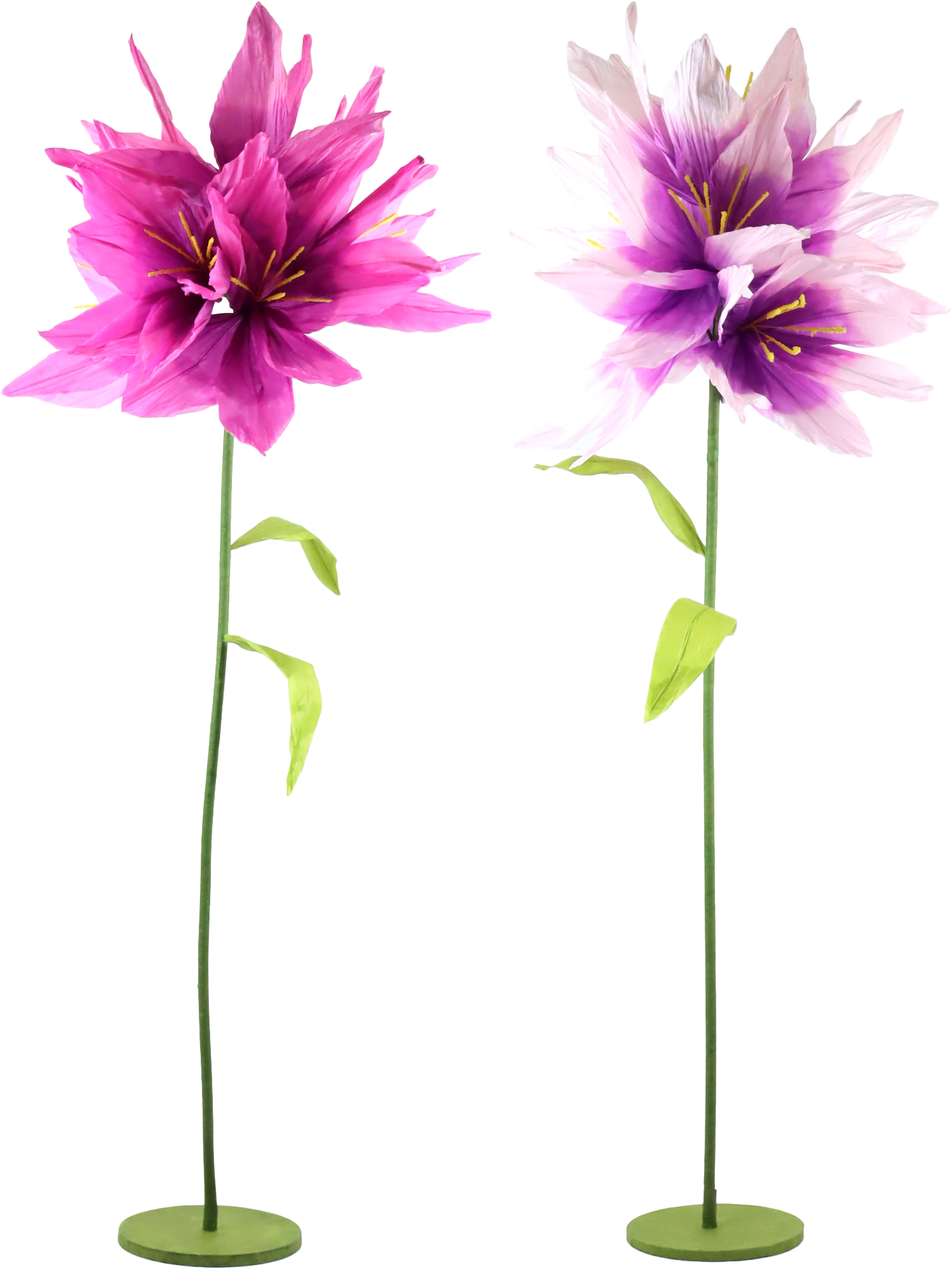 DEKOBLUMEN FLEURISSE  S/2