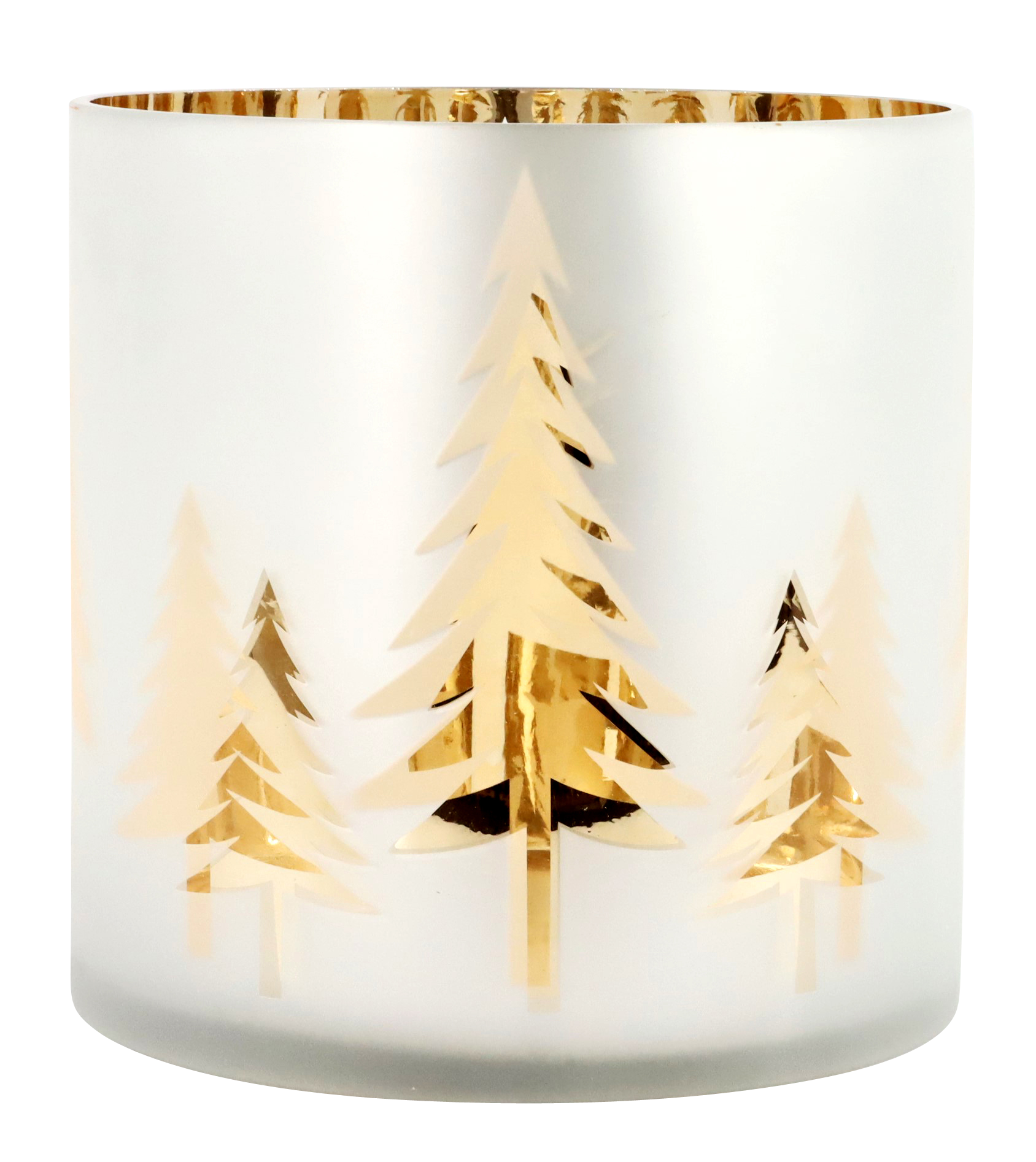 WINDLICHT WINTERWALD