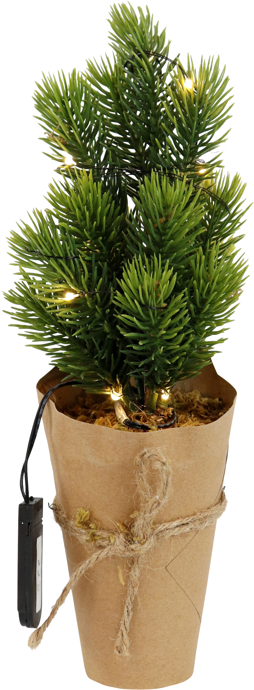 LED-BÄUMCHEN FROZEN