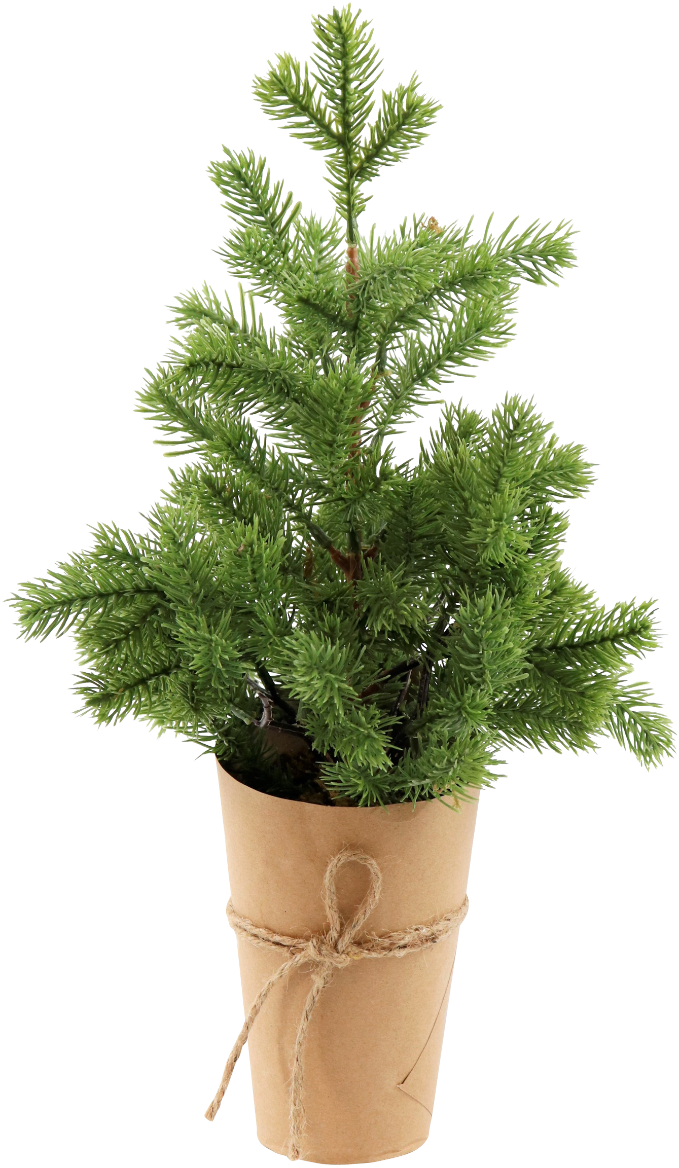 TANNENBÄUMCHEN IM TOPF