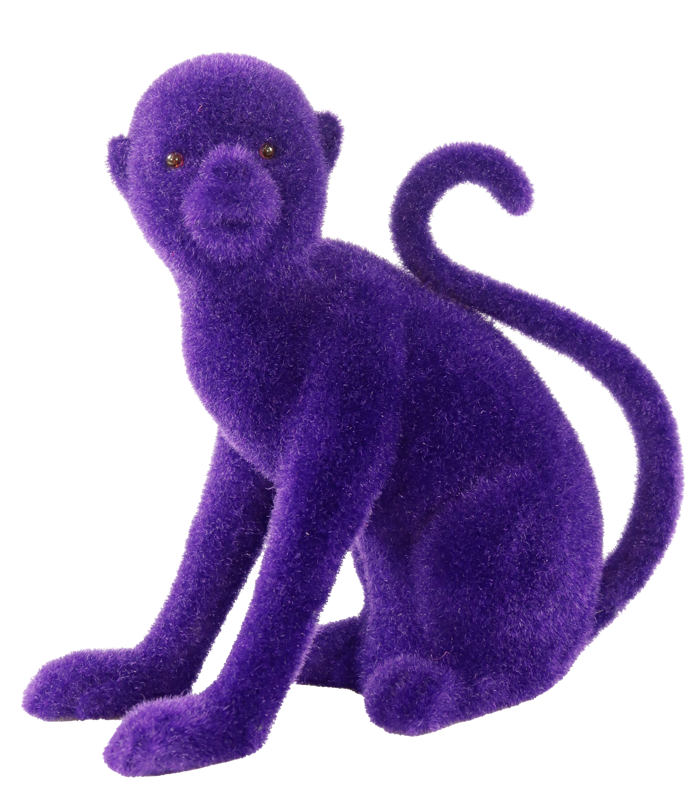 49321.png