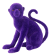 MAGIC MONKEY