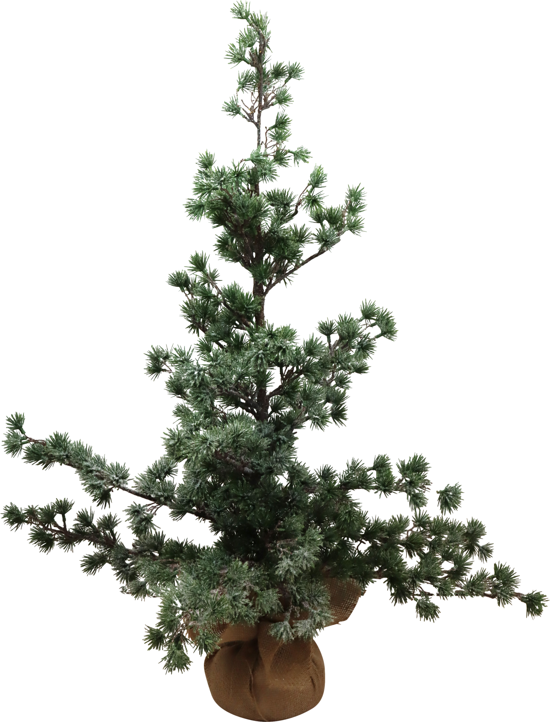 TANNENBAUM NORDIC CHARM