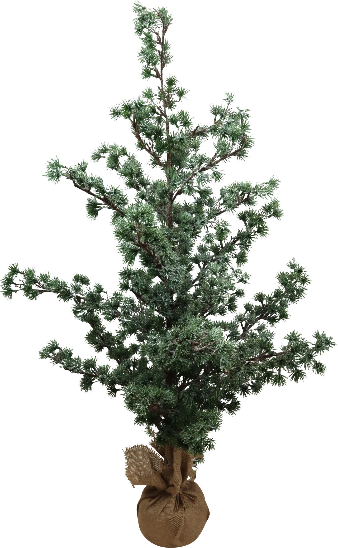 TANNENBAUM NORDIC CHARM