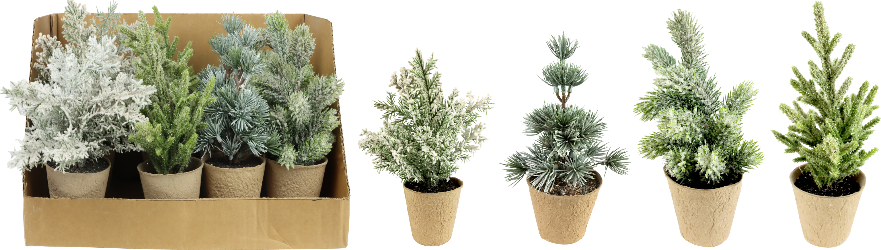 BAUMDISPLAY NORDIC CHARM  S/12