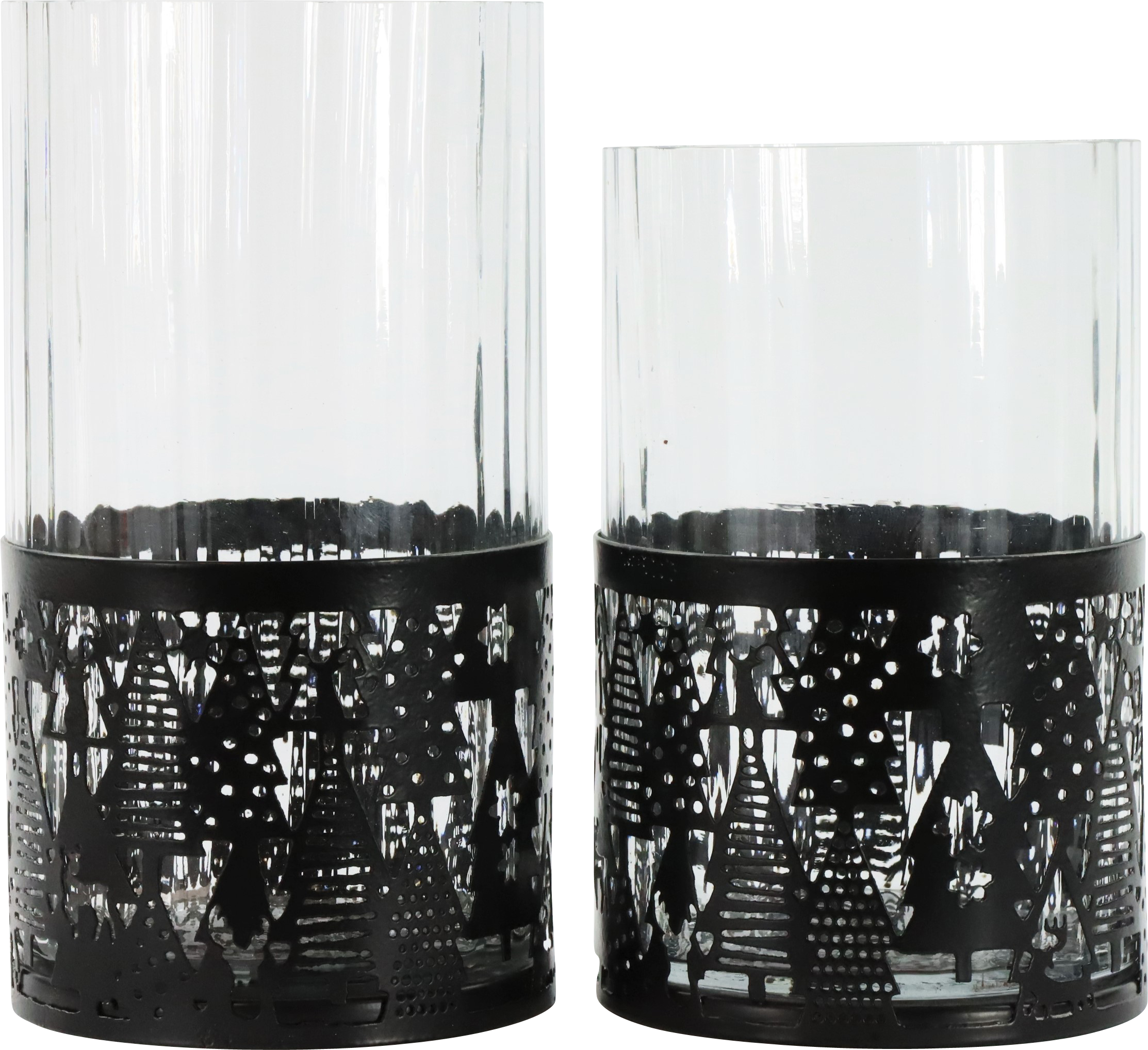 WINDLICHTER FOREST  S/2