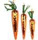 MÖHRENTRIO FUNKY CARROTS  S/3