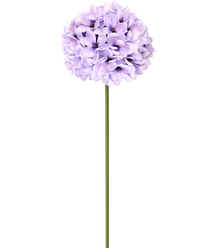 52101.png