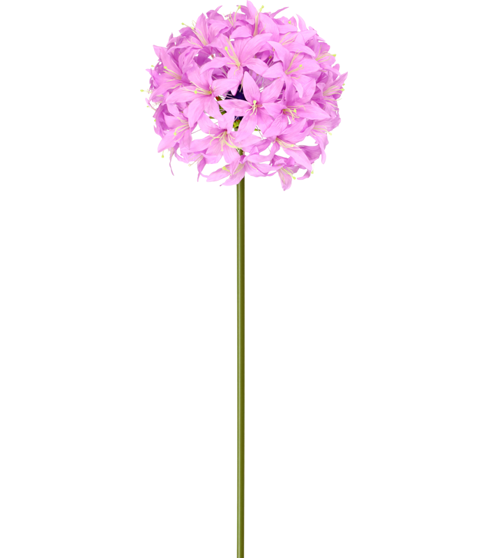 52111.png